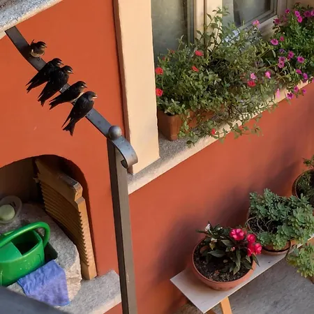 Apartmán Le Rondini A