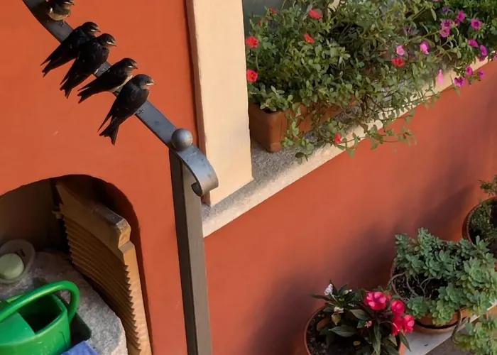 Apartmán Le Rondini A